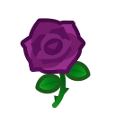 Image of Purple roses