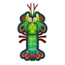 Image of Mantis shrimp