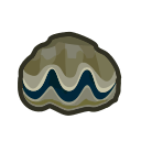 Main image of Giant clam