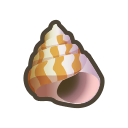 Image of Escargot de mer