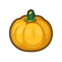 きいろいかぼちゃの画像