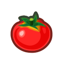 Image of 番茄