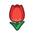 tulipán_rojo