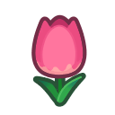 tulipe_rose