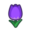 tulipán_violeta