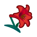 Main image of Red lilies